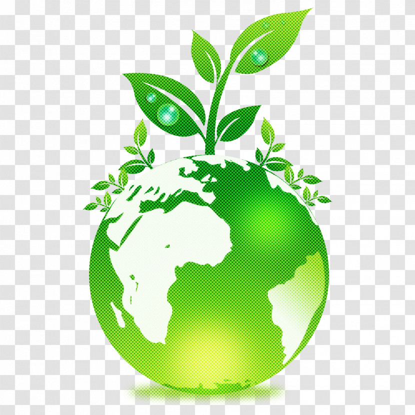 Green Leaf Plant Tree World Transparent PNG