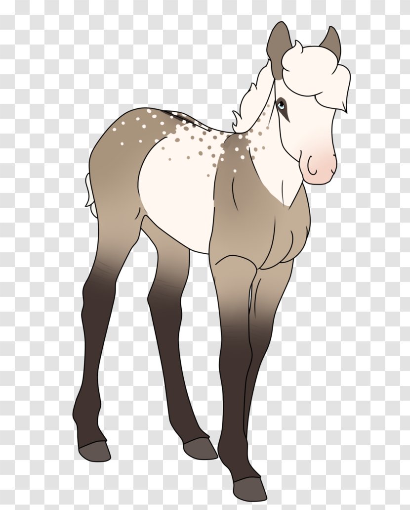 Mule Foal Mare Donkey Stallion - Rein - Earthquake Drawing Hey Transparent PNG
