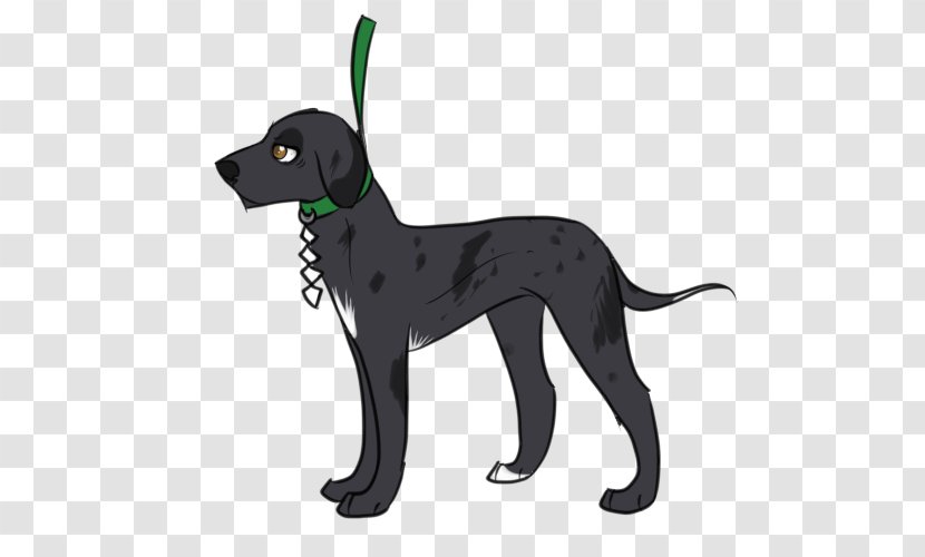 Dog Breed Sporting Group Leash Transparent PNG