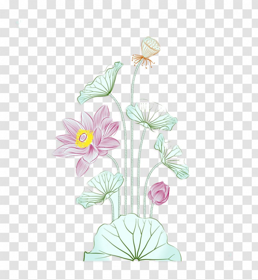 Watercolor Painting Nelumbo Nucifera Illustration - Flowering Plant - Creative Lotus Transparent PNG