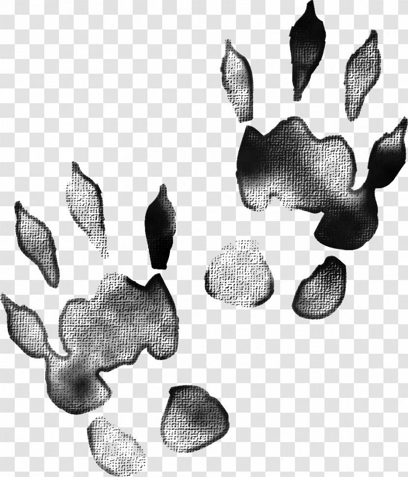 Animal Track Creativity Black - Footprint - Creative Footprints Transparent PNG