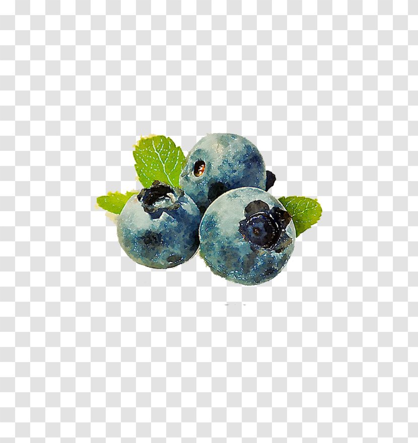 Bilberry Fruit Muffin Vaccinium Corymbosum - Berry - Blueberry Transparent PNG