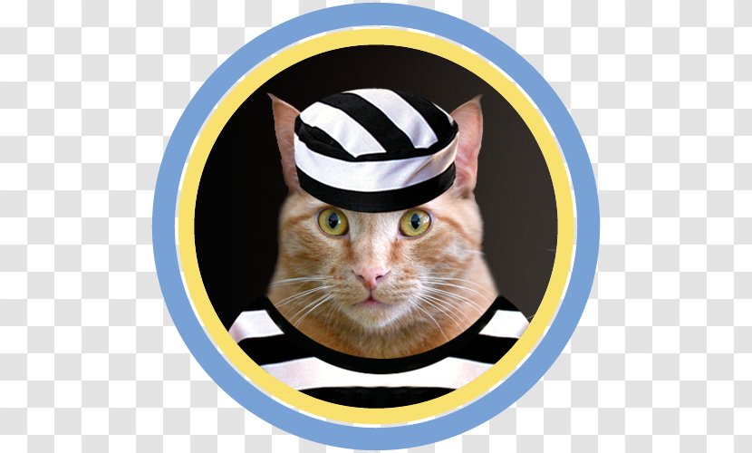 Whiskers Cat Paw Waffle Nose - Hat Transparent PNG