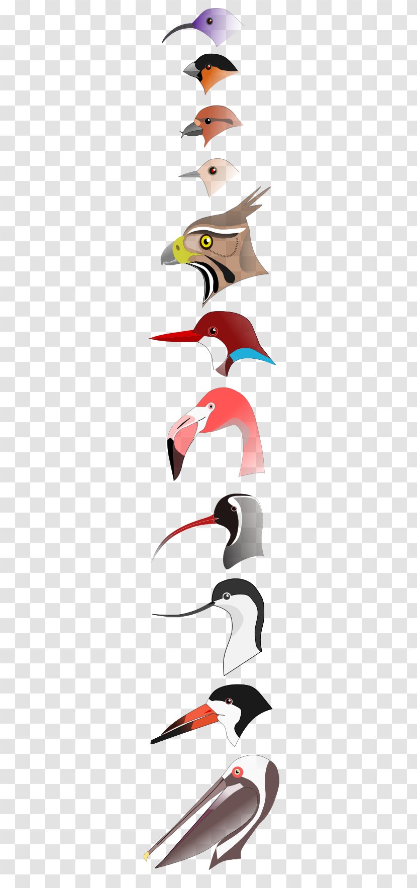 Bird Beak Vertebrate Nectarivore Clip Art - Personal Grooming - Goose Transparent PNG