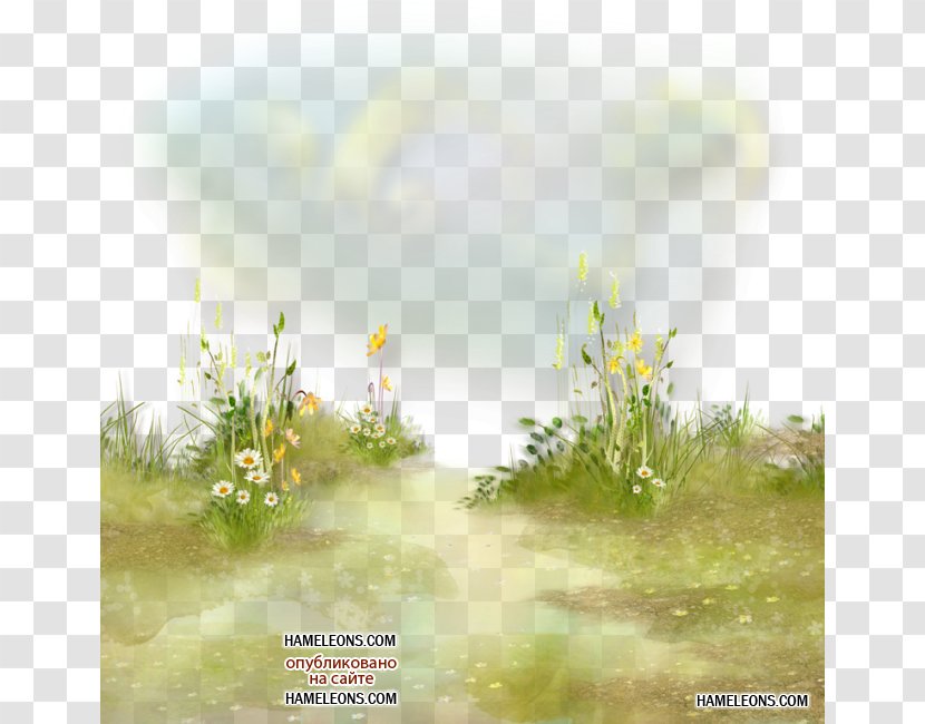 Flower Grass Herbaceous Plant Clip Art - Landscape - Spa-girl Transparent PNG