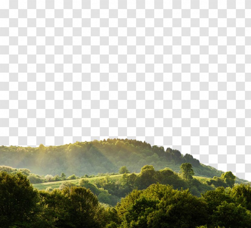 Nature Landscape Display Resolution Wallpaper - Sky - Beautiful Mountain Scenery Field Transparent PNG