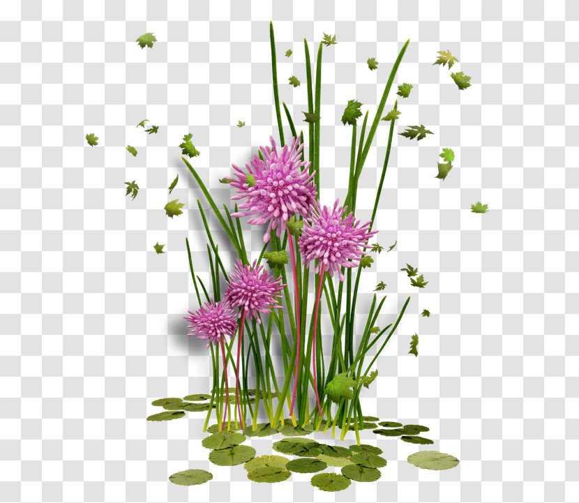 Flower Picture Frames Clip Art - CES Transparent PNG