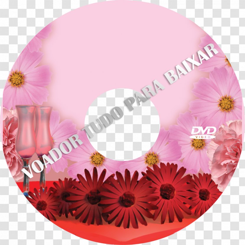 Dvd-box Compact Disc - Album - Dvd Transparent PNG