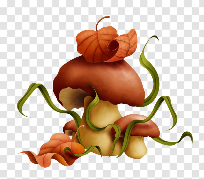 Mushroom Fungus Elf Clip Art - Organism Transparent PNG