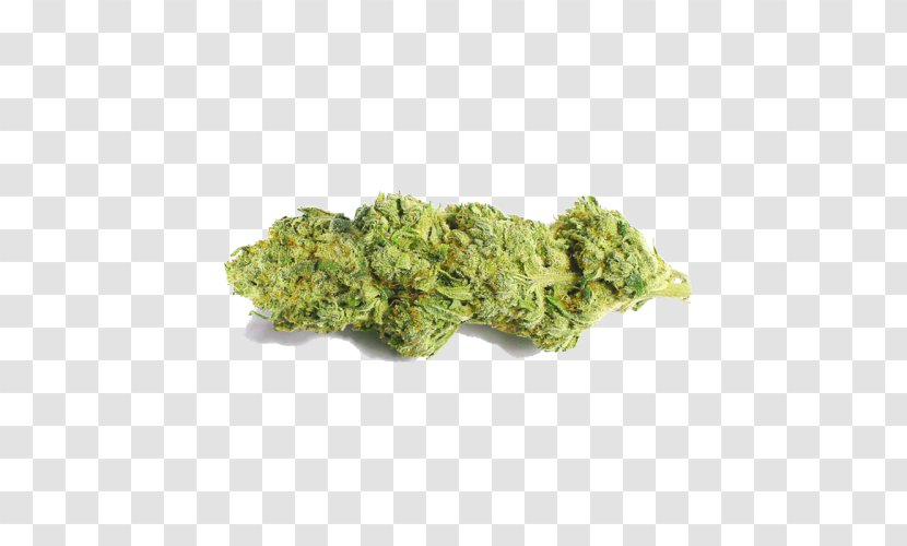Cannabidiol Haze Tetrahydrocannabinol Cannabis CBDexpress.at - Orange Bud - Outdoor Weed California Transparent PNG