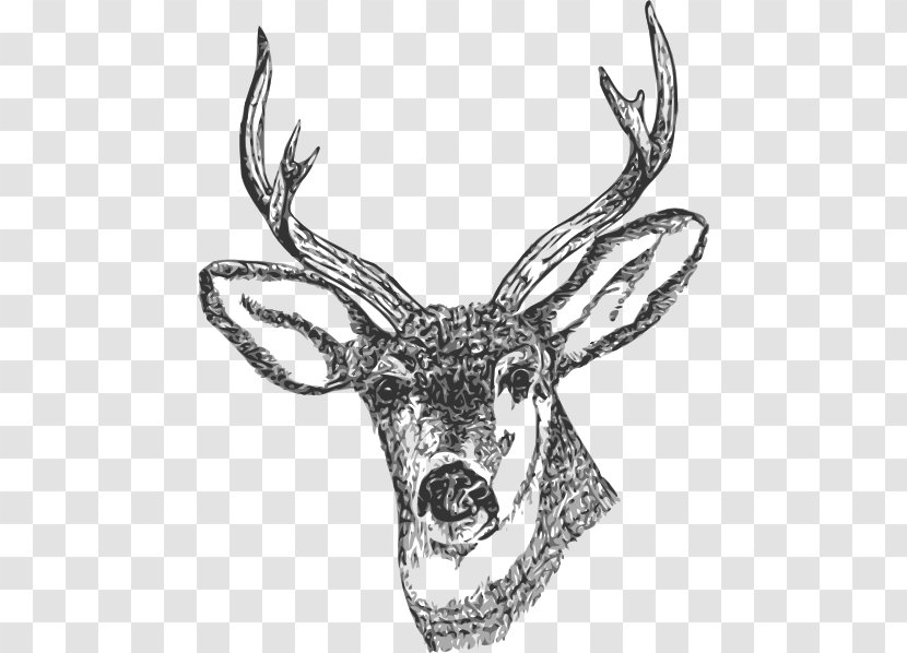 White-tailed Deer Reindeer Clip Art - Deerheadblackandwhite Transparent PNG