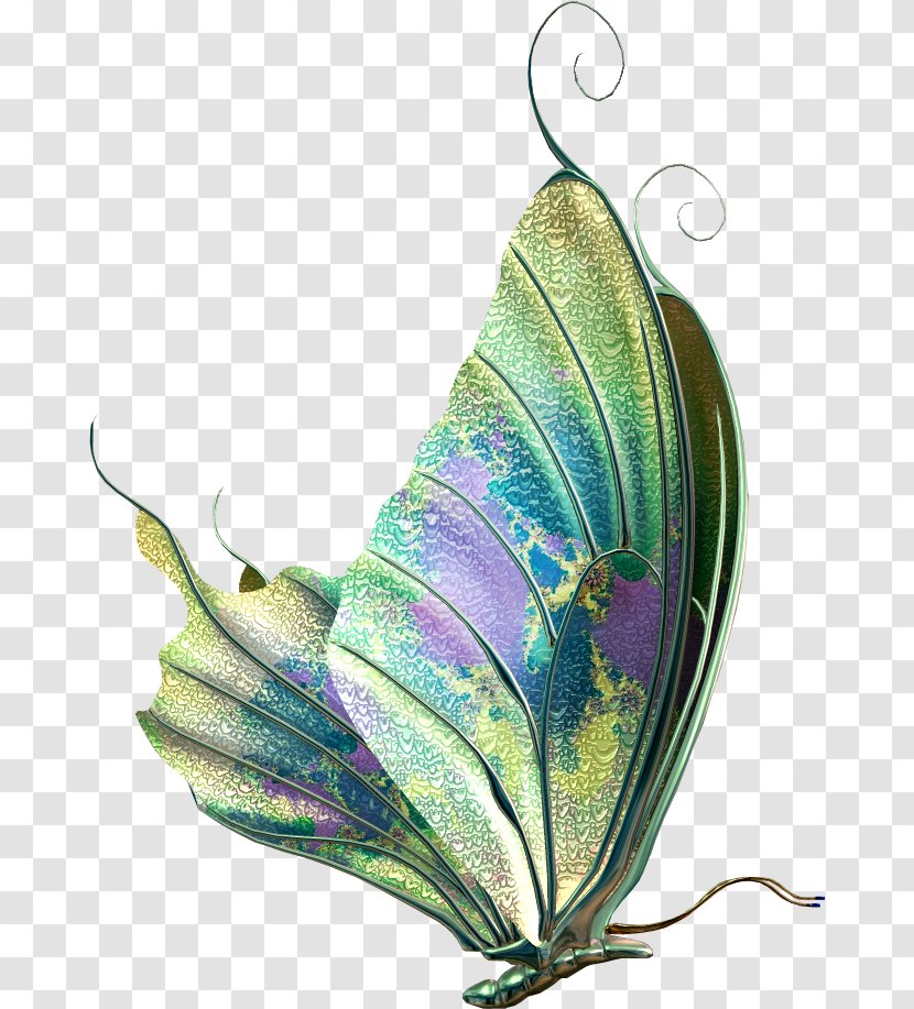 Butterfly Insect - Feather - Watercolor Transparent PNG