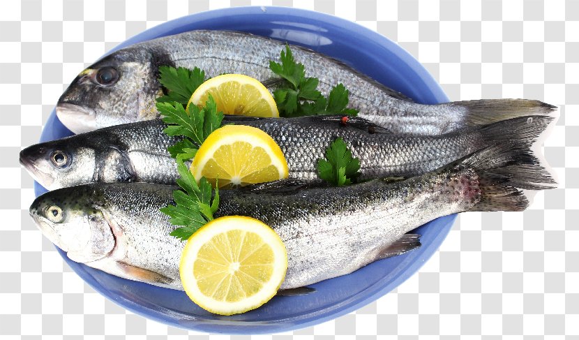 Sardine Pacific Saury Fish Products Soused Herring Oily - Food Transparent PNG