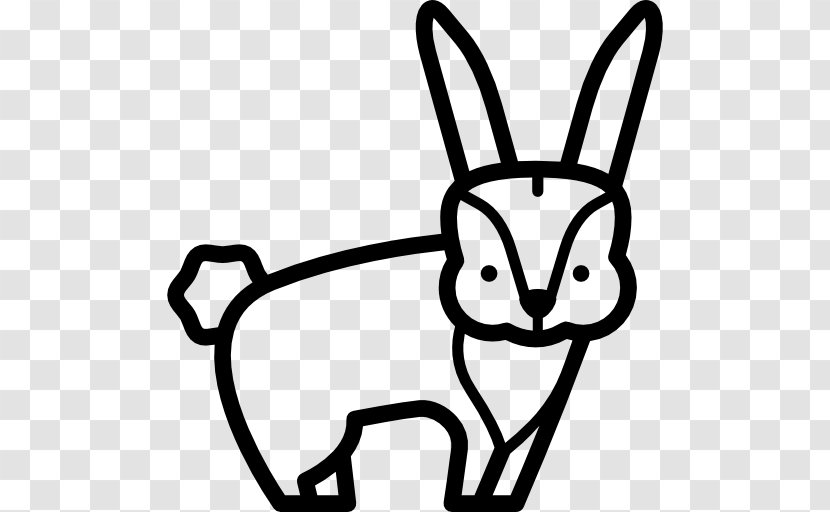 Whiskers Domestic Rabbit Cat Hare Transparent PNG