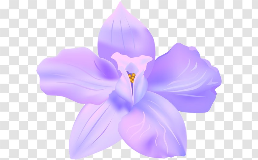 Art Clip - Flower - Violet Transparent PNG