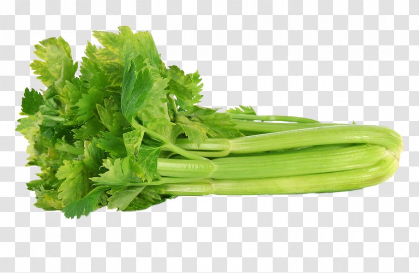 Organic Food Celery Leaf Vegetable Plant Stem - Salad Transparent PNG