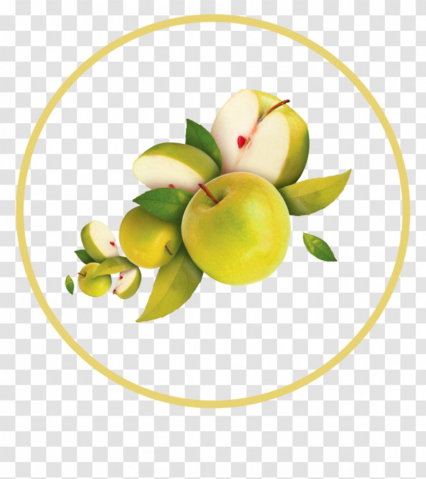 Apple Auglis Icon - Fruit - Green Simple Decorative Patterns Transparent PNG