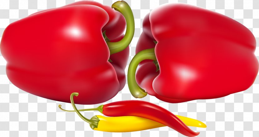 Bell Pepper Poblano Chili Vegetable - Superfood Transparent PNG