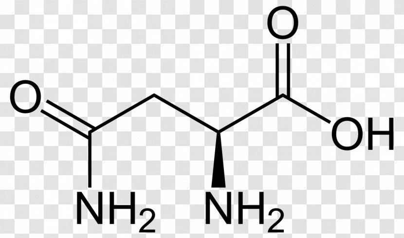 Aspartic Acid Glucogenic Amino Asparagine - Diagram - Amine Transparent PNG