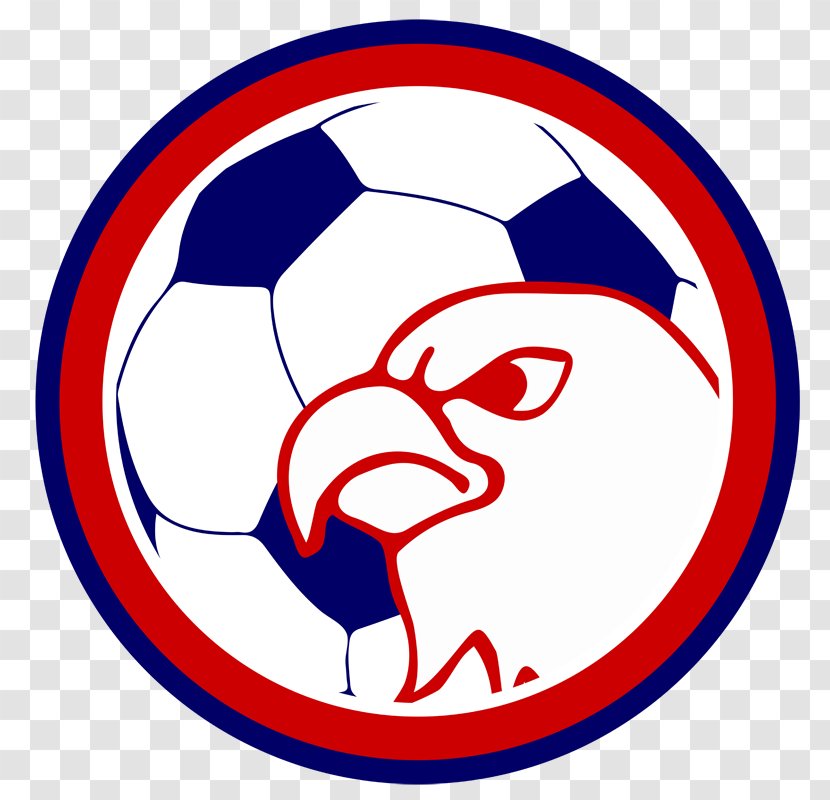 Austintown Fitch High School World Cup Football Girls Soccer - Ball Transparent PNG