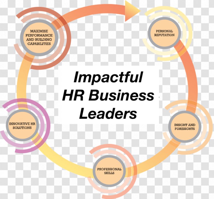 Leadership Organization Human Resource Line Management Business - Culture Transparent PNG