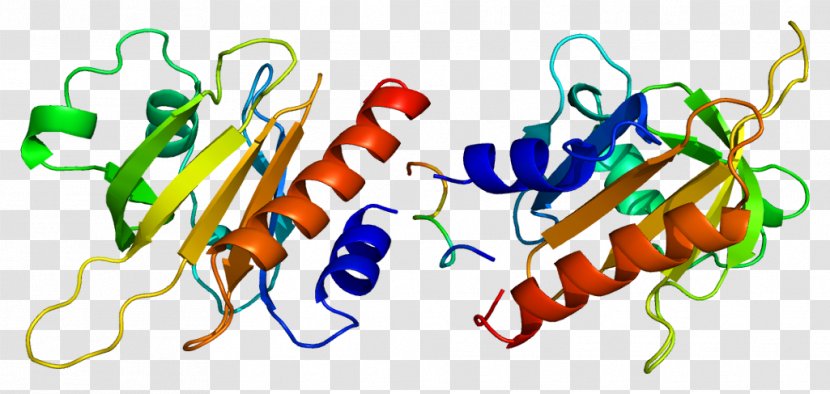 Profilin 1 Actin Protein Structure - Watercolor - Frame Transparent PNG