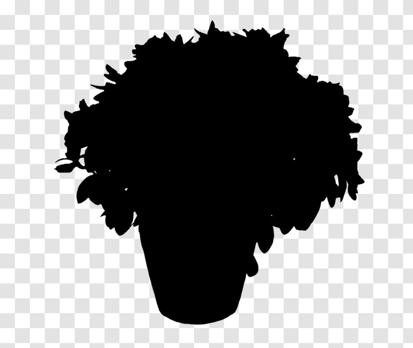 Silhouette Hair Cosmetics Afro Vector Graphics - Black - Hairstyle Transparent PNG