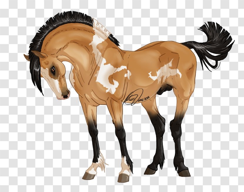 Mustang Foal Mare Mane Halter - Stallion - Fell Pony Breed Transparent PNG