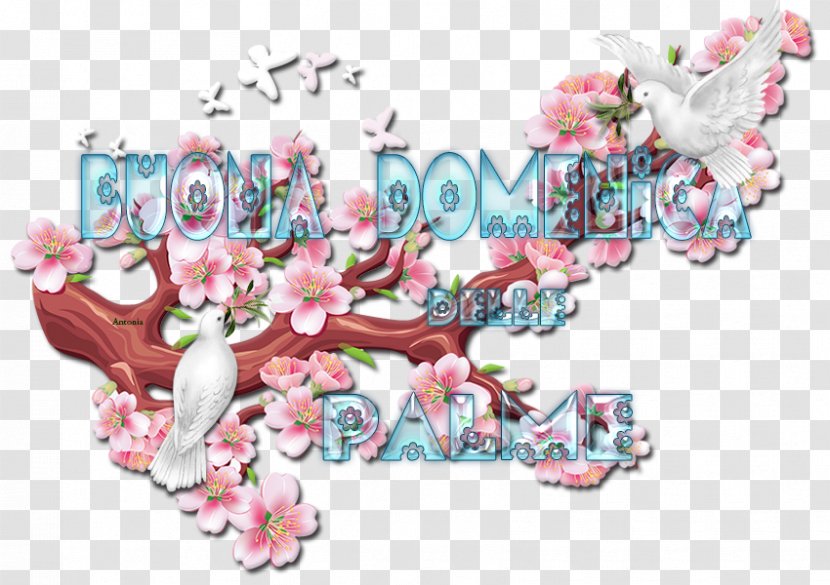 Floral Design Almanacco Pagano. Festività E Miti Dell'antica Roma Enneagramma. Principi Di Base Cut Flowers - Pink - Flower Transparent PNG
