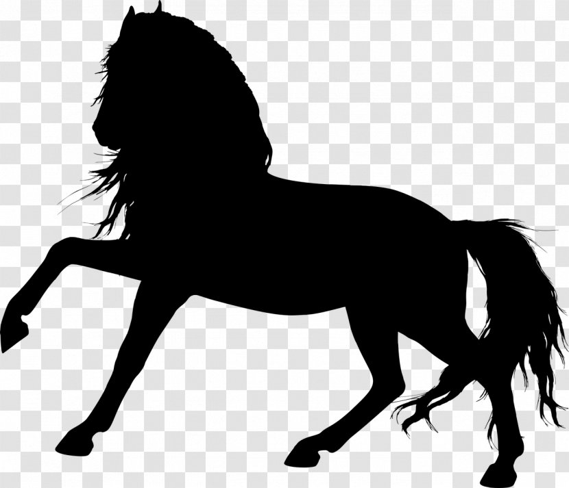 Horse Pony Silhouette Clip Art - Mustang - Animal Silhouettes Transparent PNG