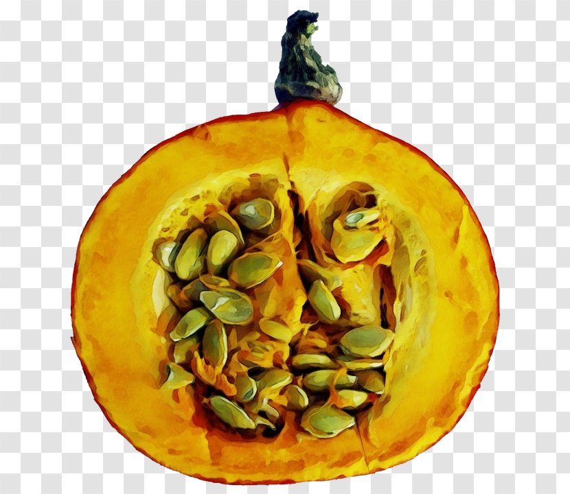 Pumpkin - Squash Cucurbita Transparent PNG