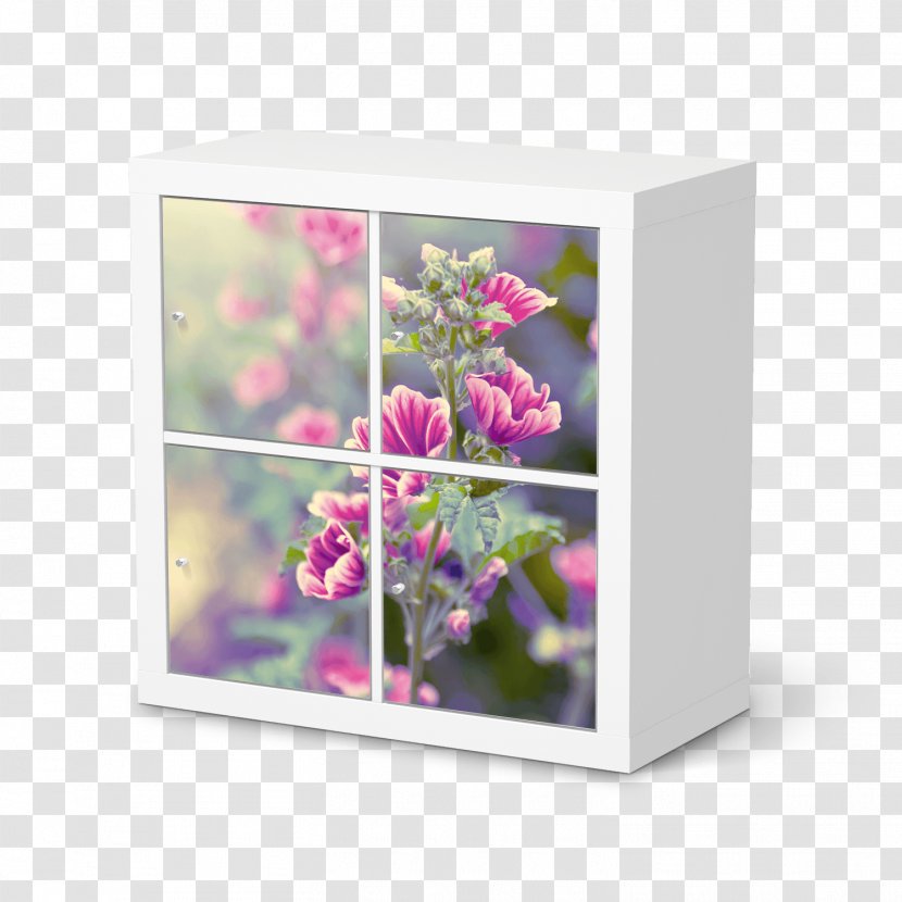 Expedit Floral Design IKEA Hylla Furniture - Flowering Plant - Galaxy Elements Transparent PNG