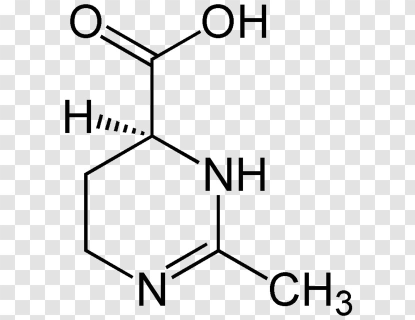 P-Toluic Acid M-Toluic Benzoic P-Anisic - Formic - Bacteria Transparent PNG