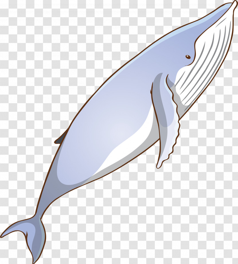 Bottlenose Dolphin Fin Blue Whale Cetacea Dolphin Transparent PNG