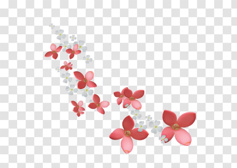 Pink Petal Flower Plant Leaf - Moth Orchid Blossom Transparent PNG