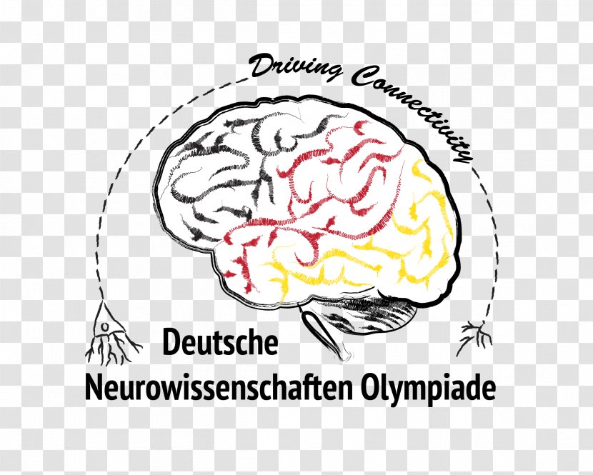 Heinrich-Heine-Gymnasium Deutsche Neurowissenschaften-Olympiade Neuroscience International Brain Bee Learning - Heart - Ms Olympia 2017 Transparent PNG