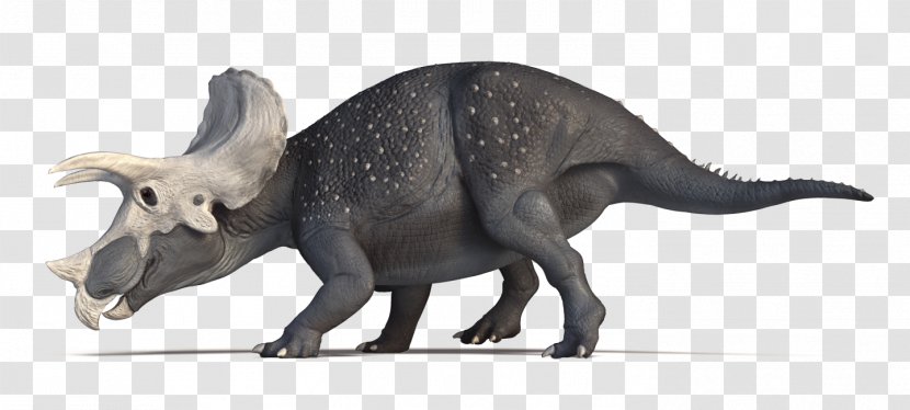 Dinosaur Tyrannosaurus Pentaceratops Einiosaurus Three-Horn: The Adventure Of Triceratops - Horned Dinosaurs Transparent PNG