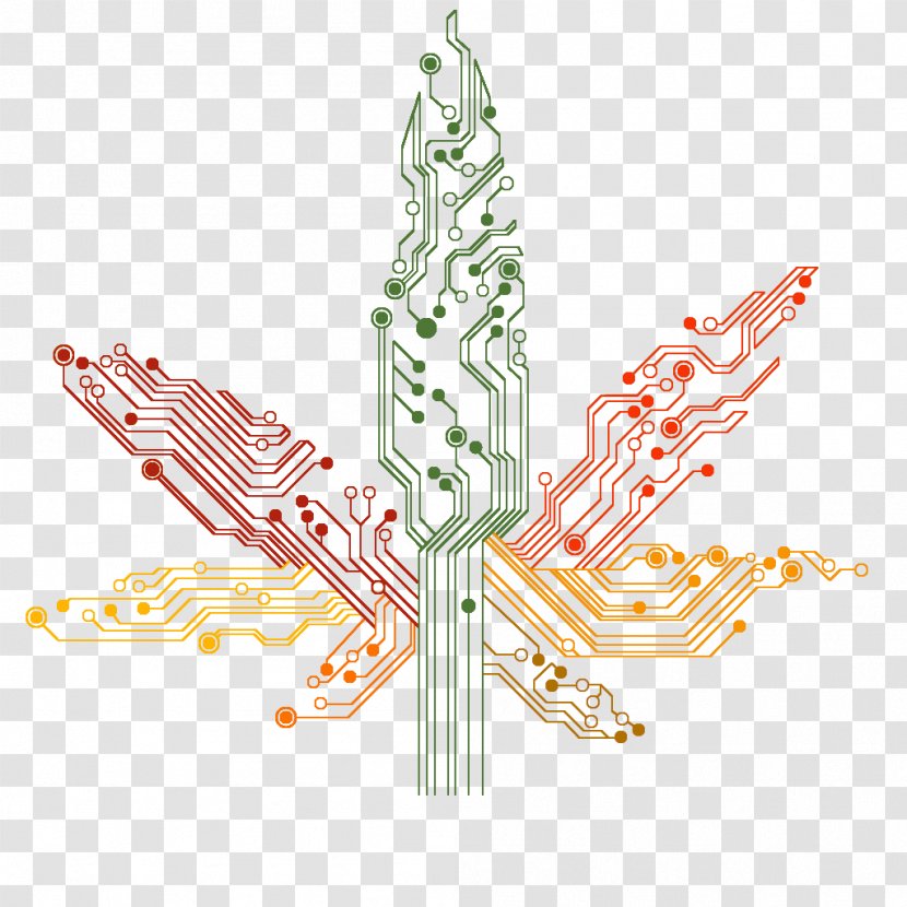 Clip Art Illustration Leaf Line Flower - Wing Transparent PNG