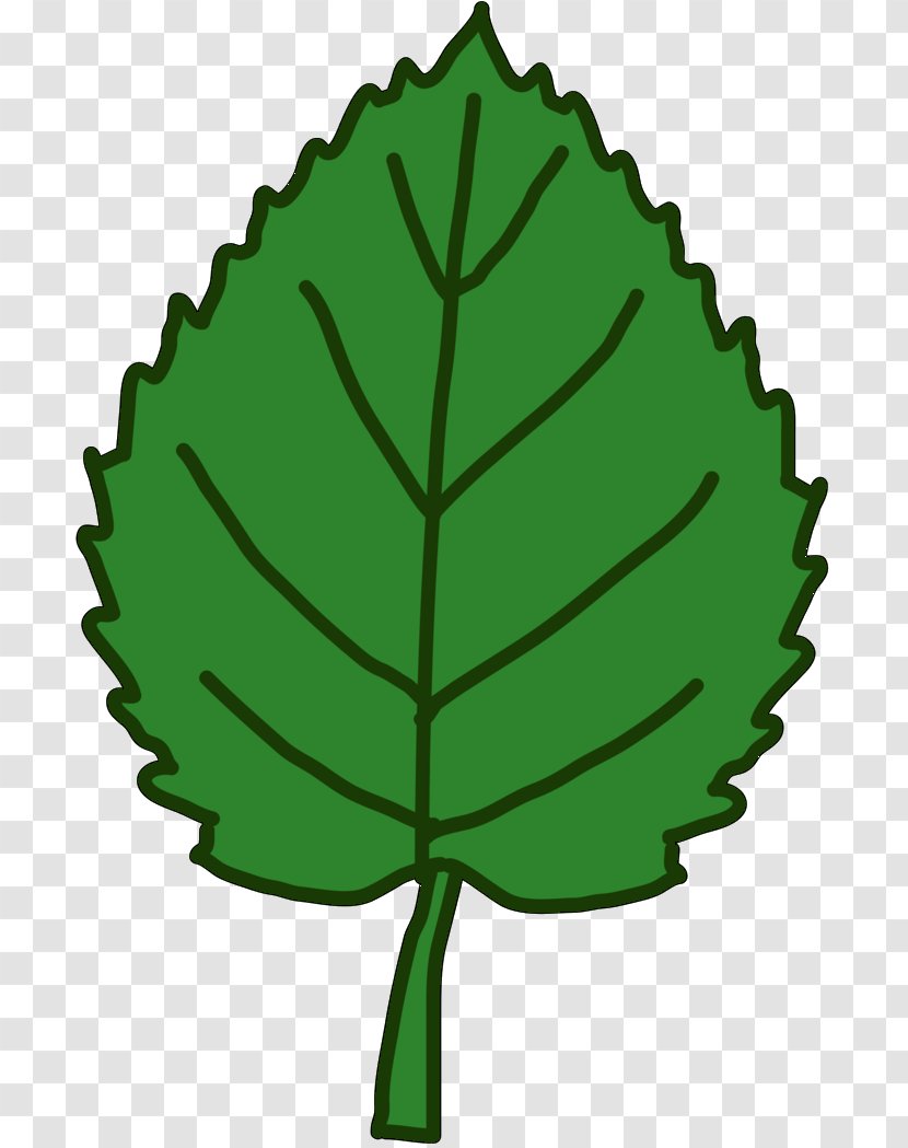 Leaf Plant Stem Tree Plants Transparent PNG