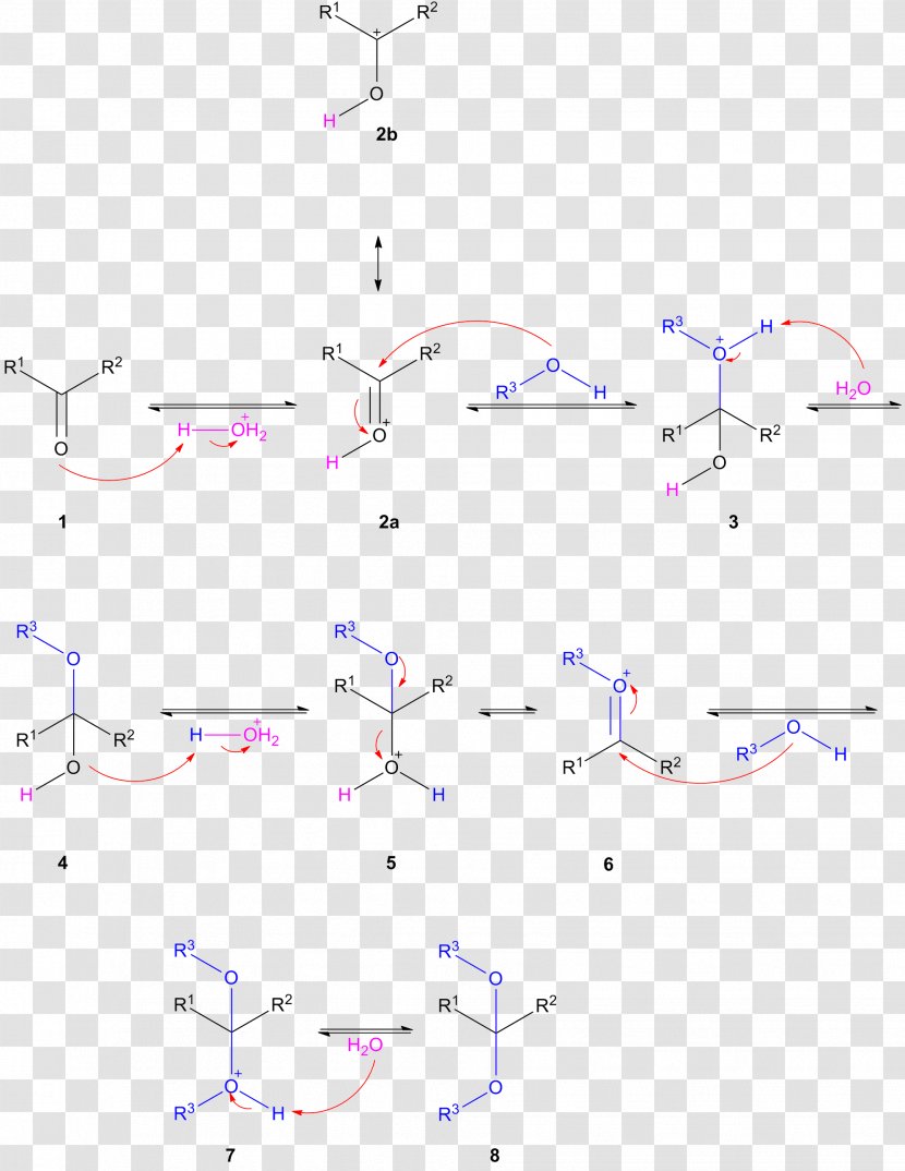 Hemiacetal Dean–Stark Apparatus Acetalisation Ketal - Plot - Nucleophilic Addition Transparent PNG