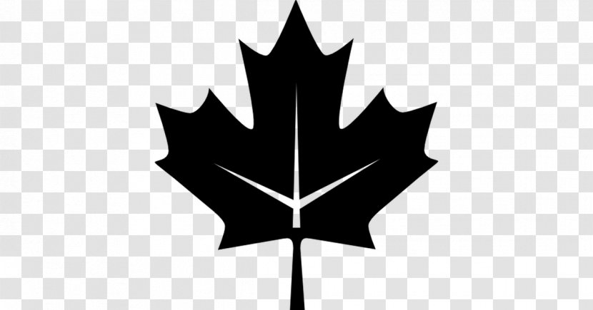 Flag Of Canada Maple Leaf Day - Woody Plant Transparent PNG