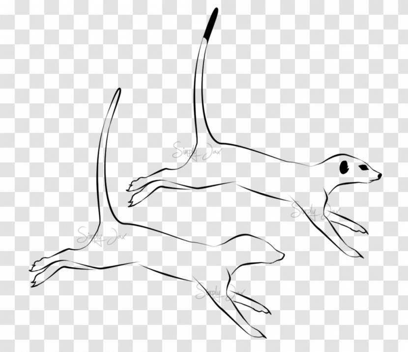 Meerkat Art Sketch - Vertebrate Transparent PNG