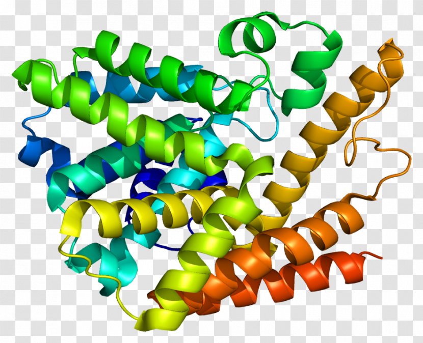 PDE7A Cyclic Nucleotide Phosphodiesterase Guanosine Monophosphate PDE7B - Organism - Camp Molecule Transparent PNG