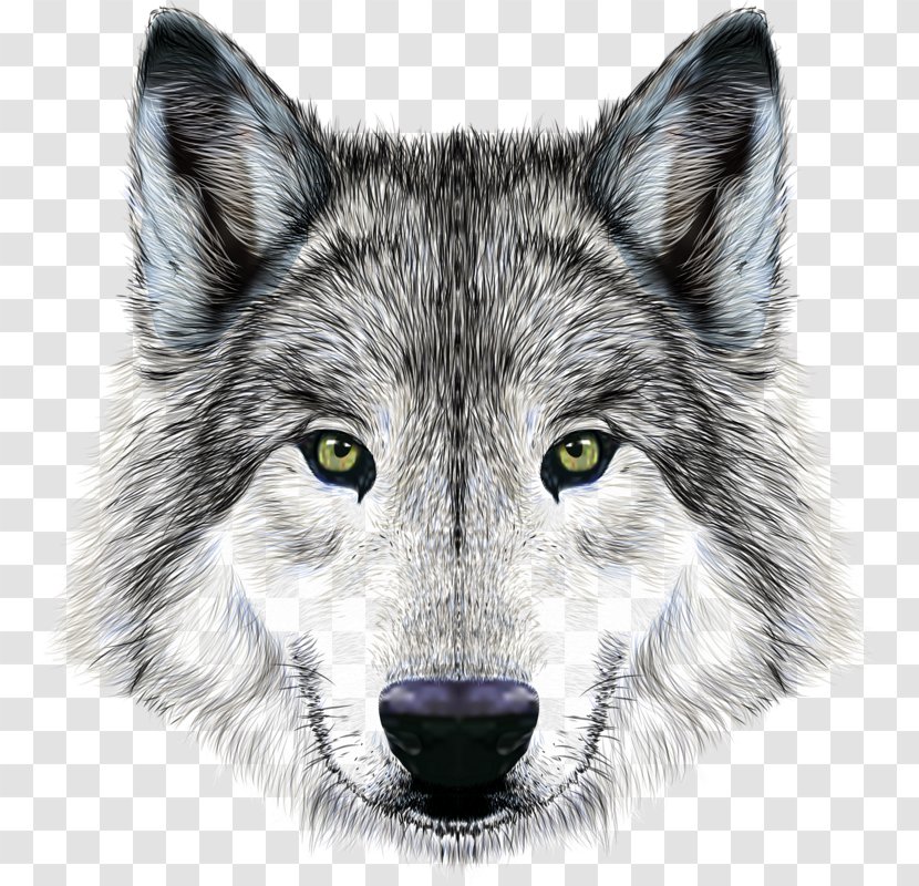 Dog Arctic Wolf Mexican Illustration - Royaltyfree - Imposing Transparent PNG