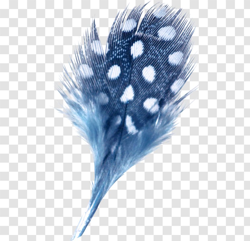Feather Drawing Bird White Transparent PNG
