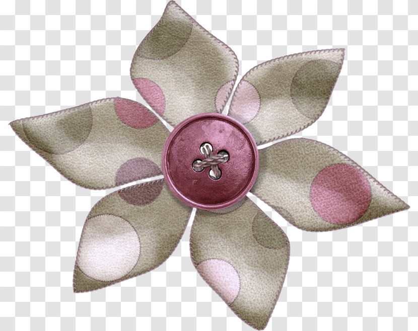 Petal Flower Transparent PNG