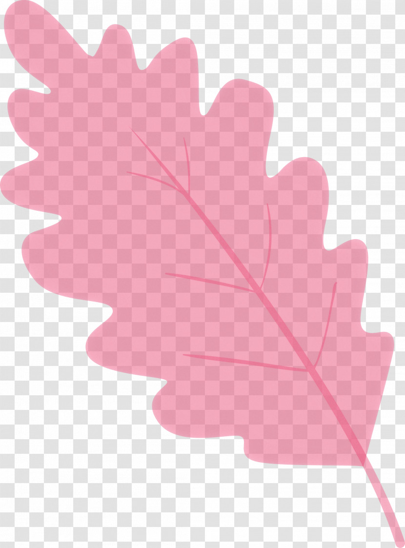 Maple Leaf Transparent PNG