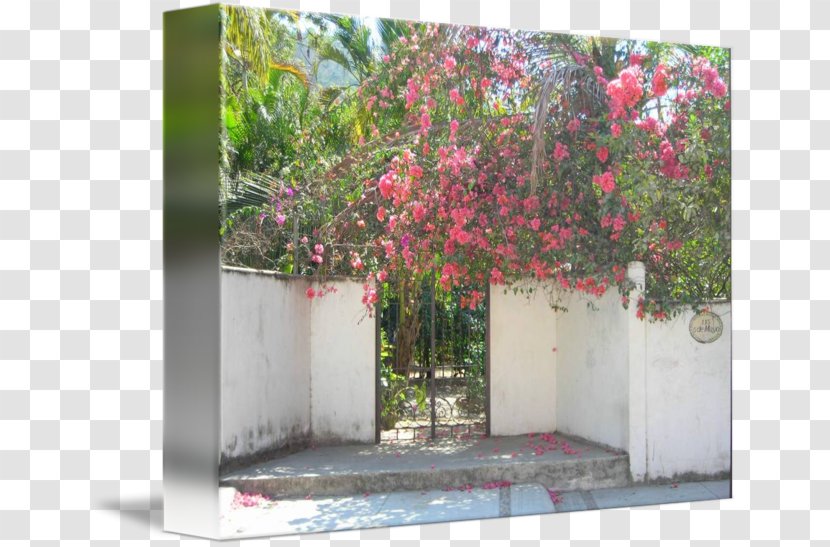 Flower Property Tree Shrub Meter Transparent PNG
