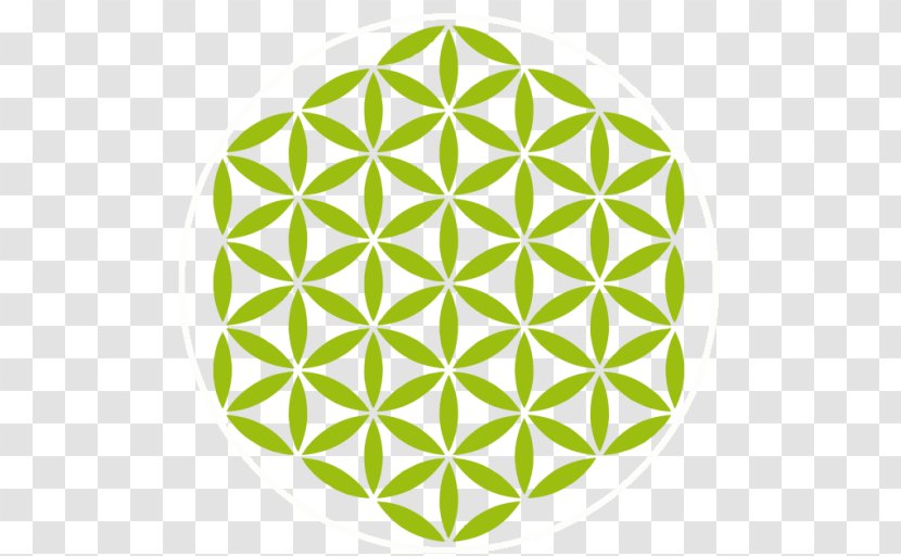 Green Leaf Background - Sacred Geometry - Plant Symmetry Transparent PNG