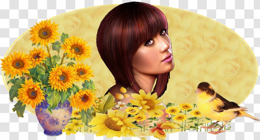 Common Sunflower Floral Design Transvaal Daisy Hair Coloring Transparent PNG
